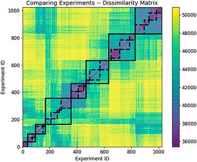 Cortex-Like Complex Systems: What Occurs Within?